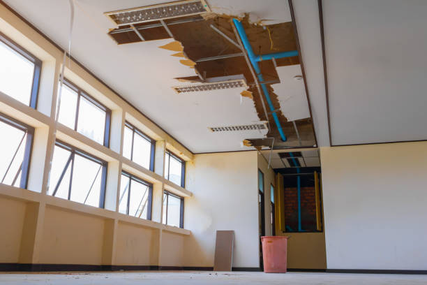 Best Water damage contractors near me  in Lannon, WI