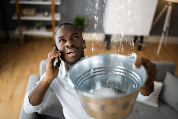 Best Flooded house restoration  in Lannon, WI