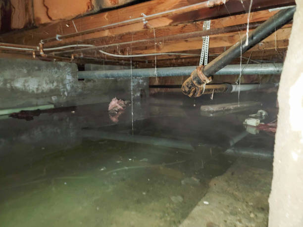 Best Basement water damage restoration  in Lannon, WI