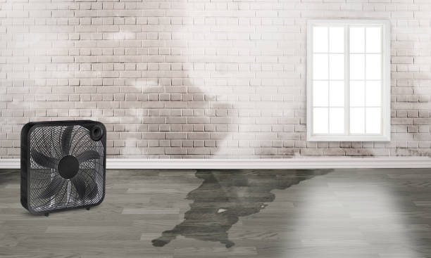 Lannon, WI Water damage restoration Company